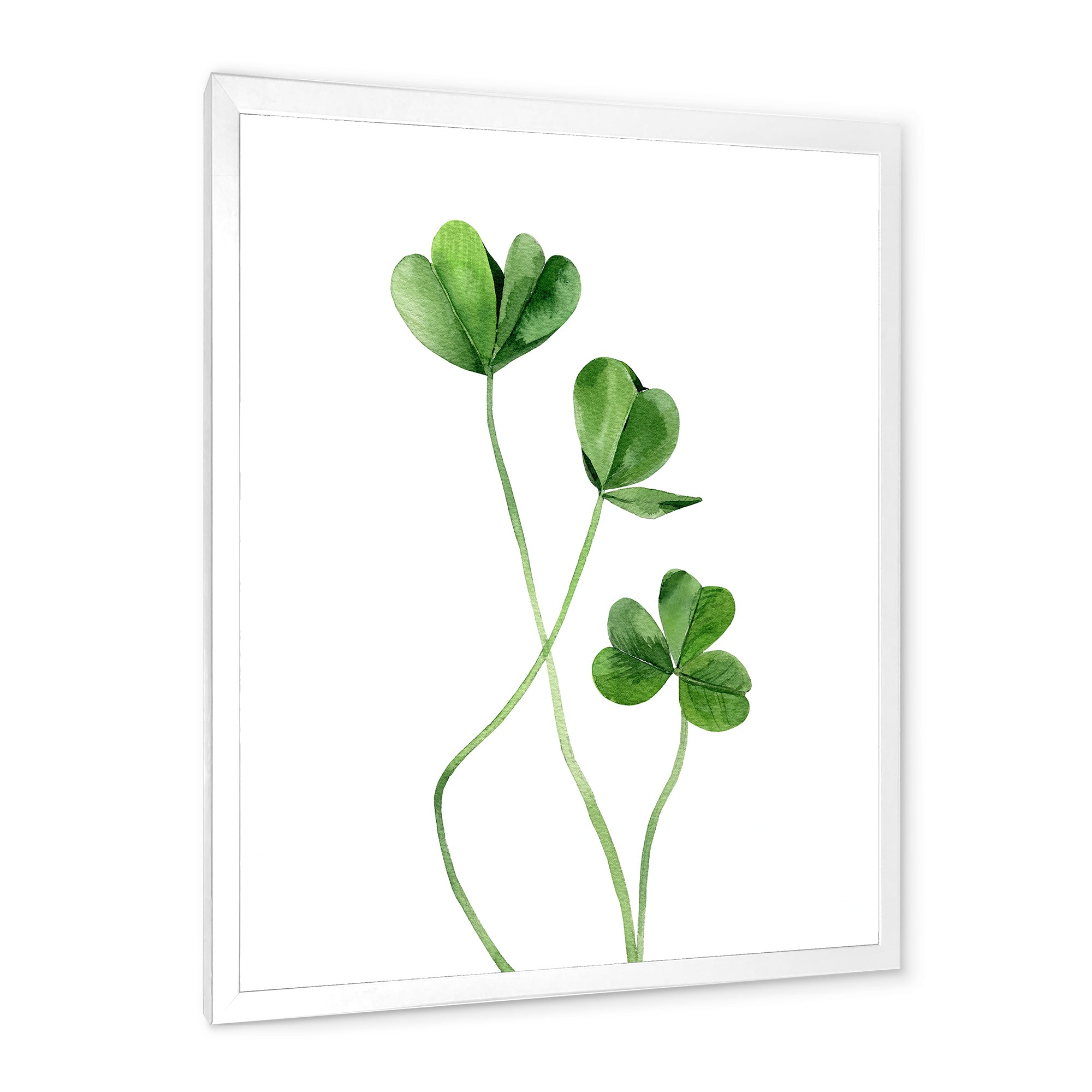 Field Plant Detail Clover