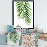 Detail Tropical Palm Branches