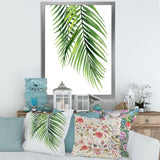 Detail Tropical Palm Branches