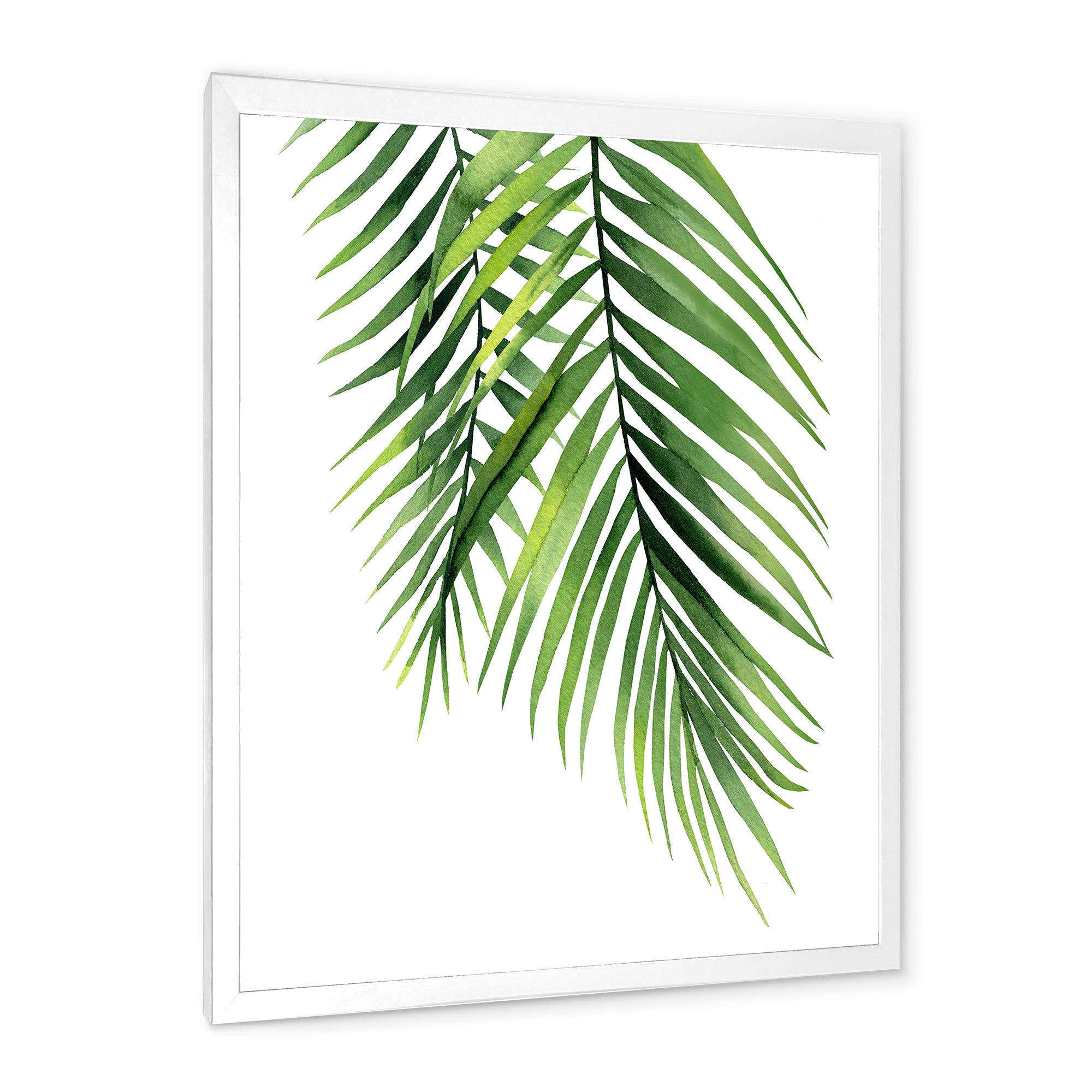 Detail Tropical Palm Branches