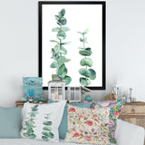 Silver Blue Eucalyptus Branch