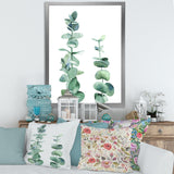 Silver Blue Eucalyptus Branch