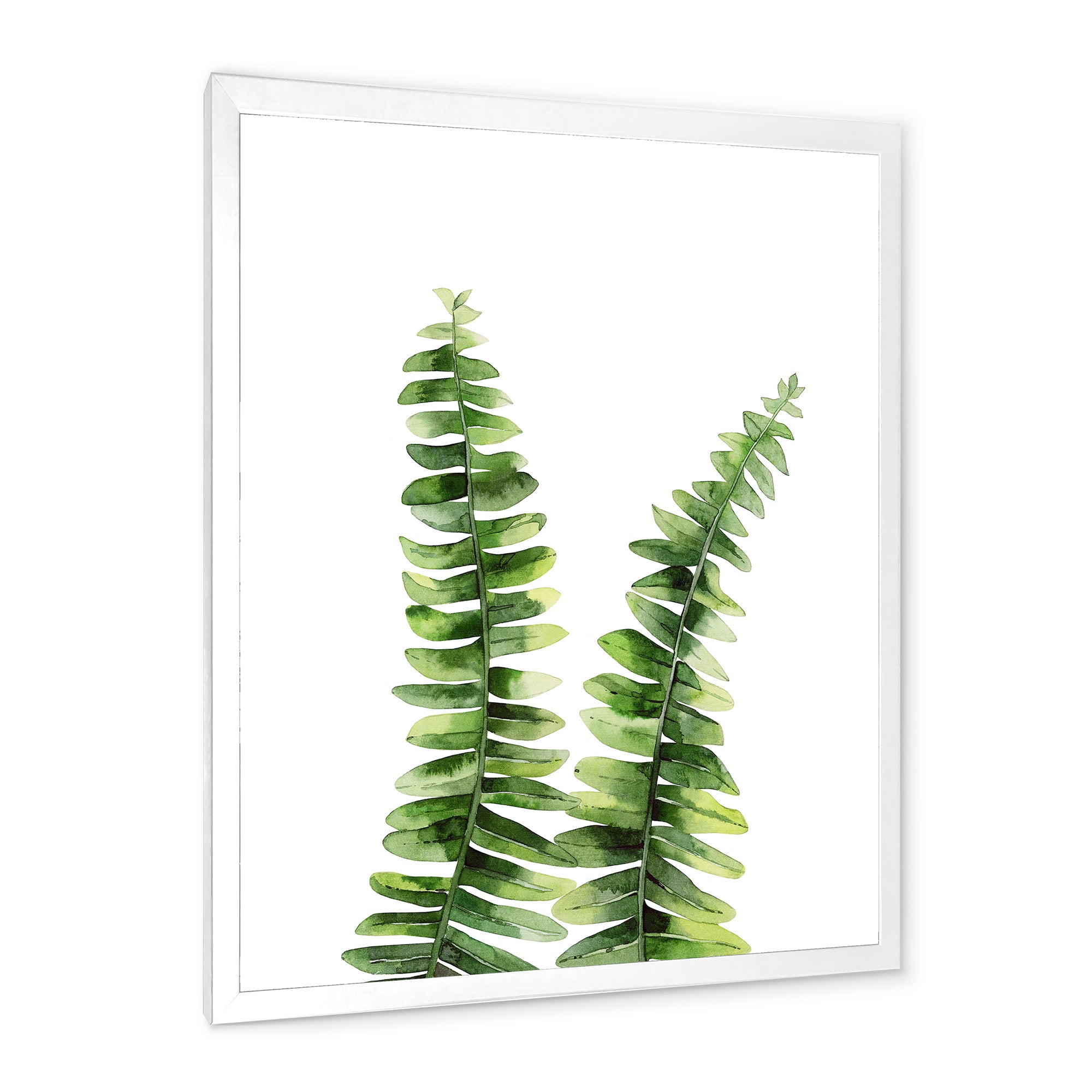 Fern Plant In Greenbotanical Detail