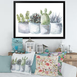 Cactus and Succulent House Plants I