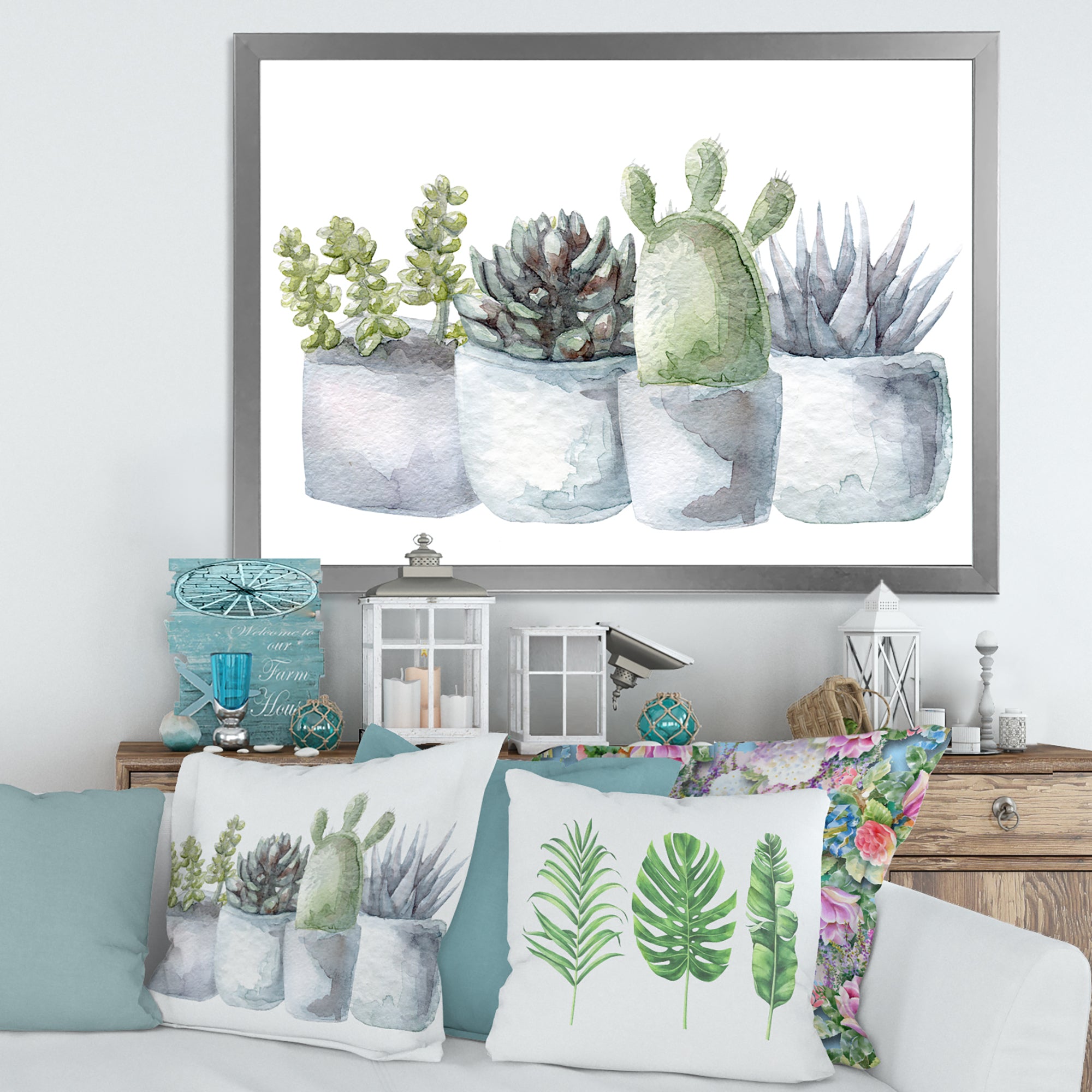 Cactus and Succulent House Plants I