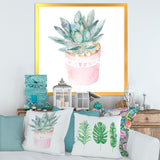 Cactus and Succulent House Plants II