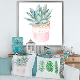 Cactus and Succulent House Plants II