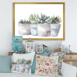 Cactus and Succulent House Plants III