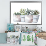 Cactus and Succulent House Plants III