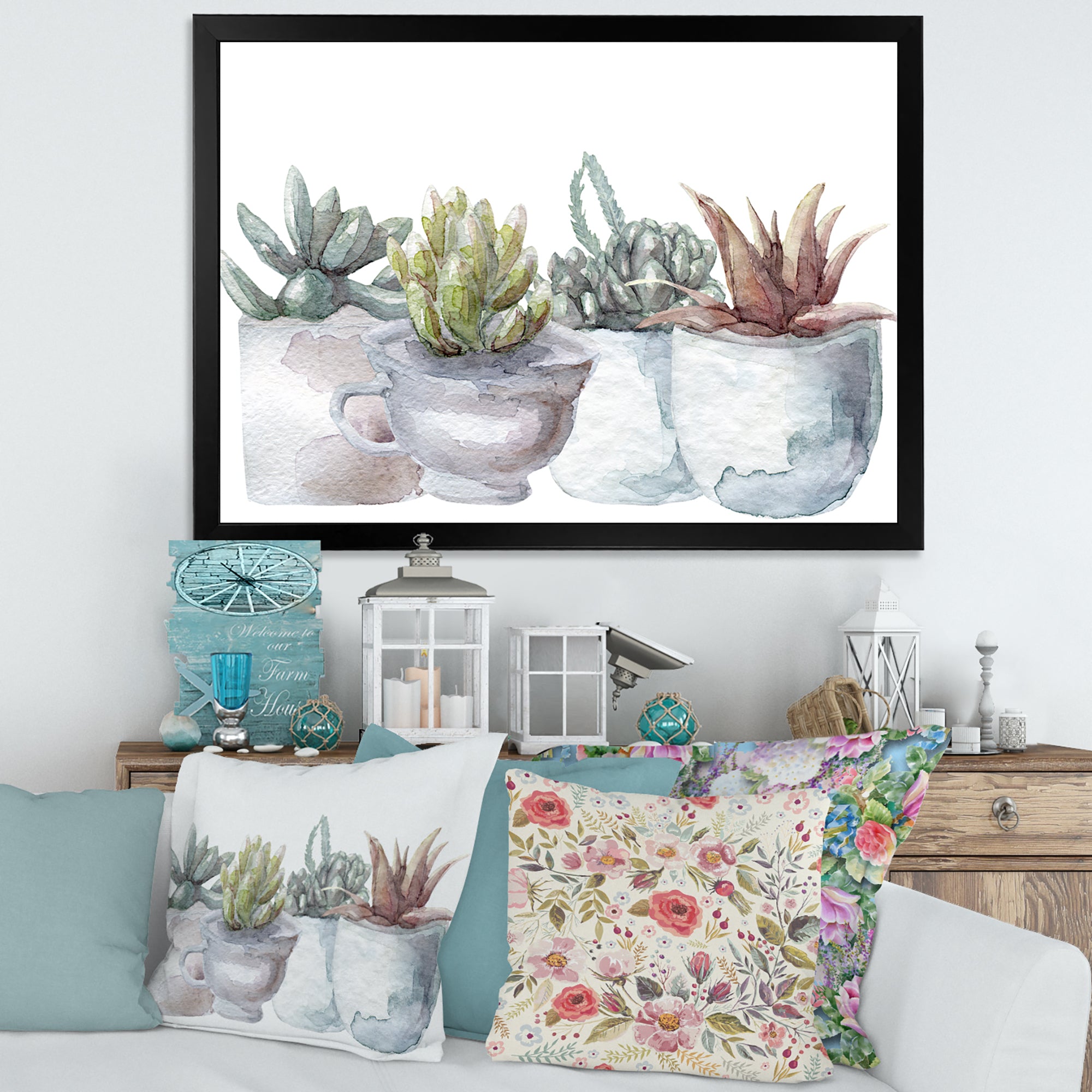 Cactus and Succulent House Plants IV