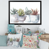 Cactus and Succulent House Plants IV