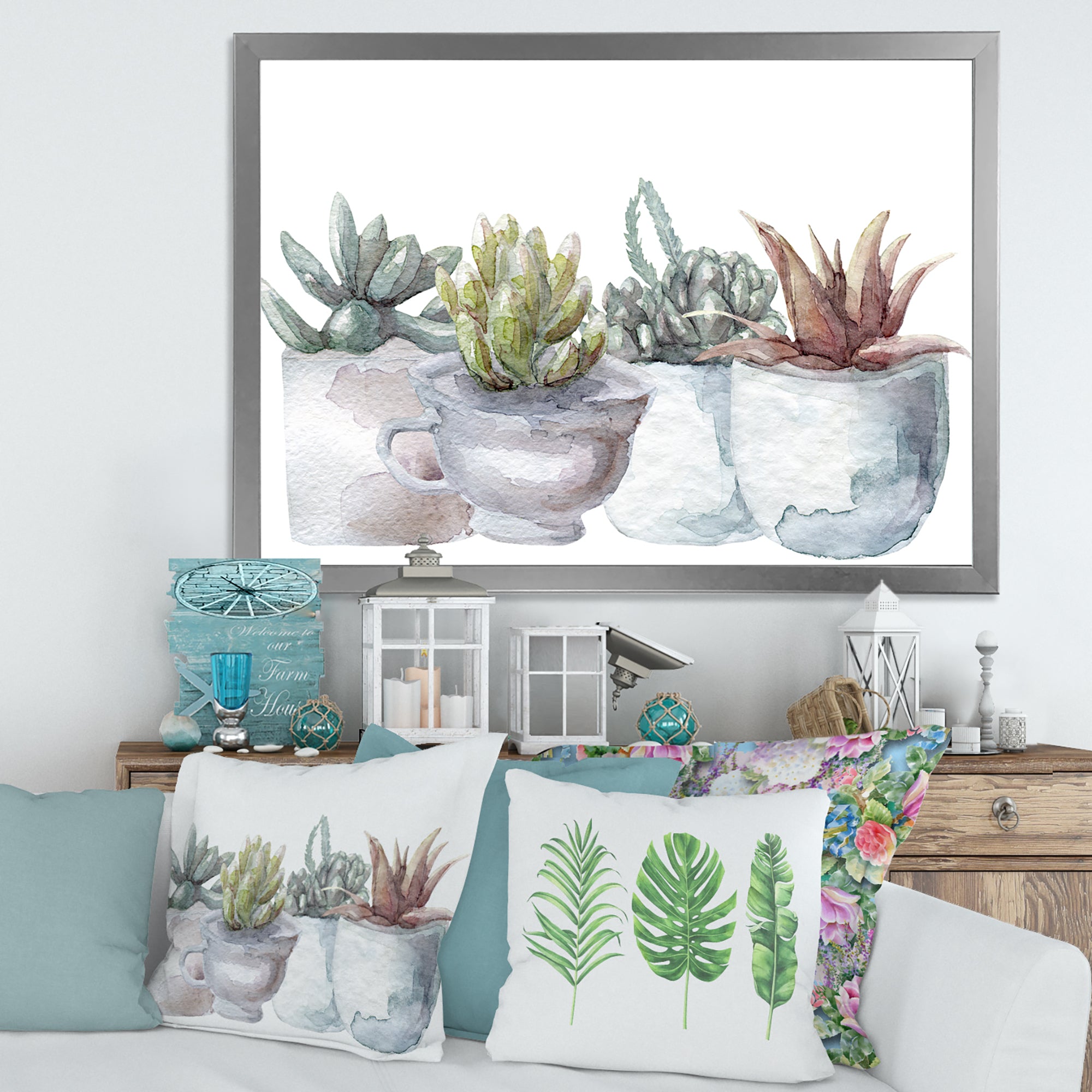 Cactus and Succulent House Plants IV