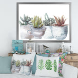 Cactus and Succulent House Plants IV