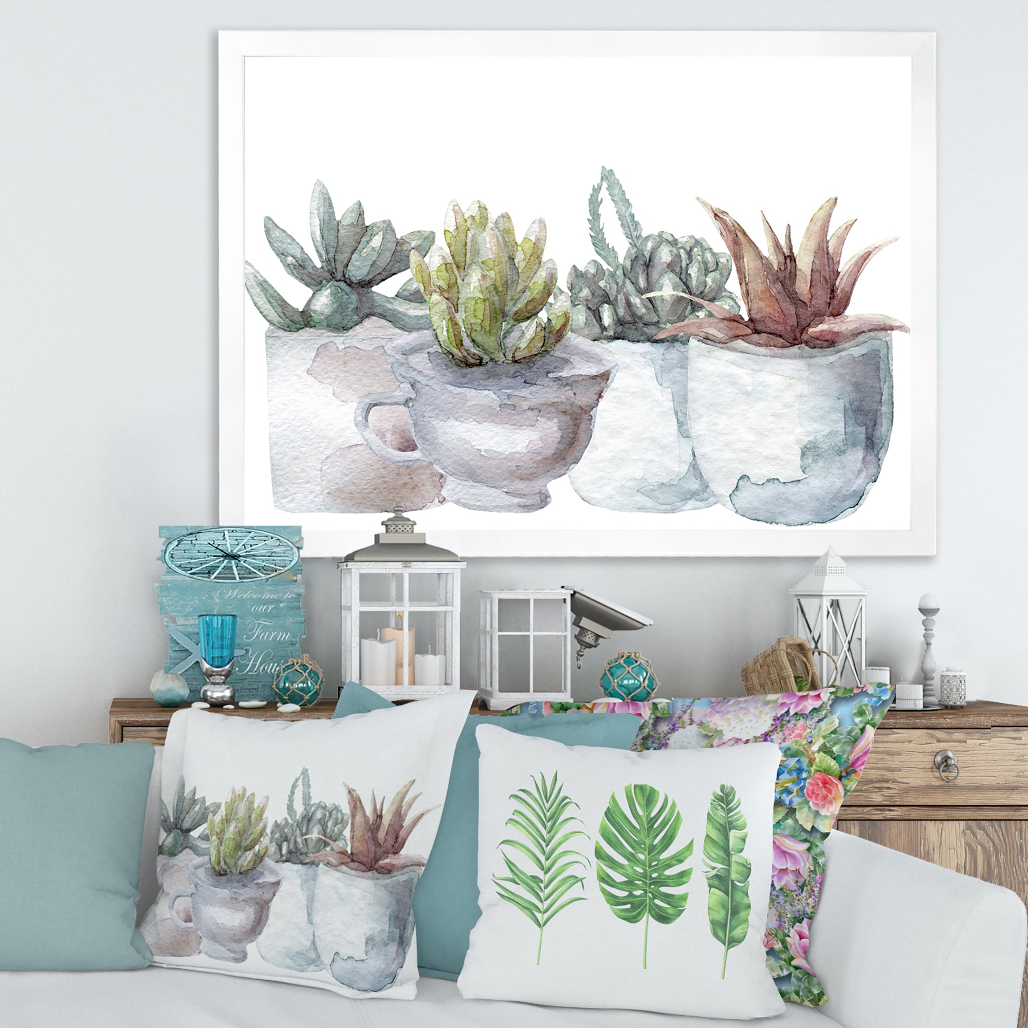 Cactus and Succulent House Plants IV