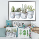 Cactus and Succulent House Plants V
