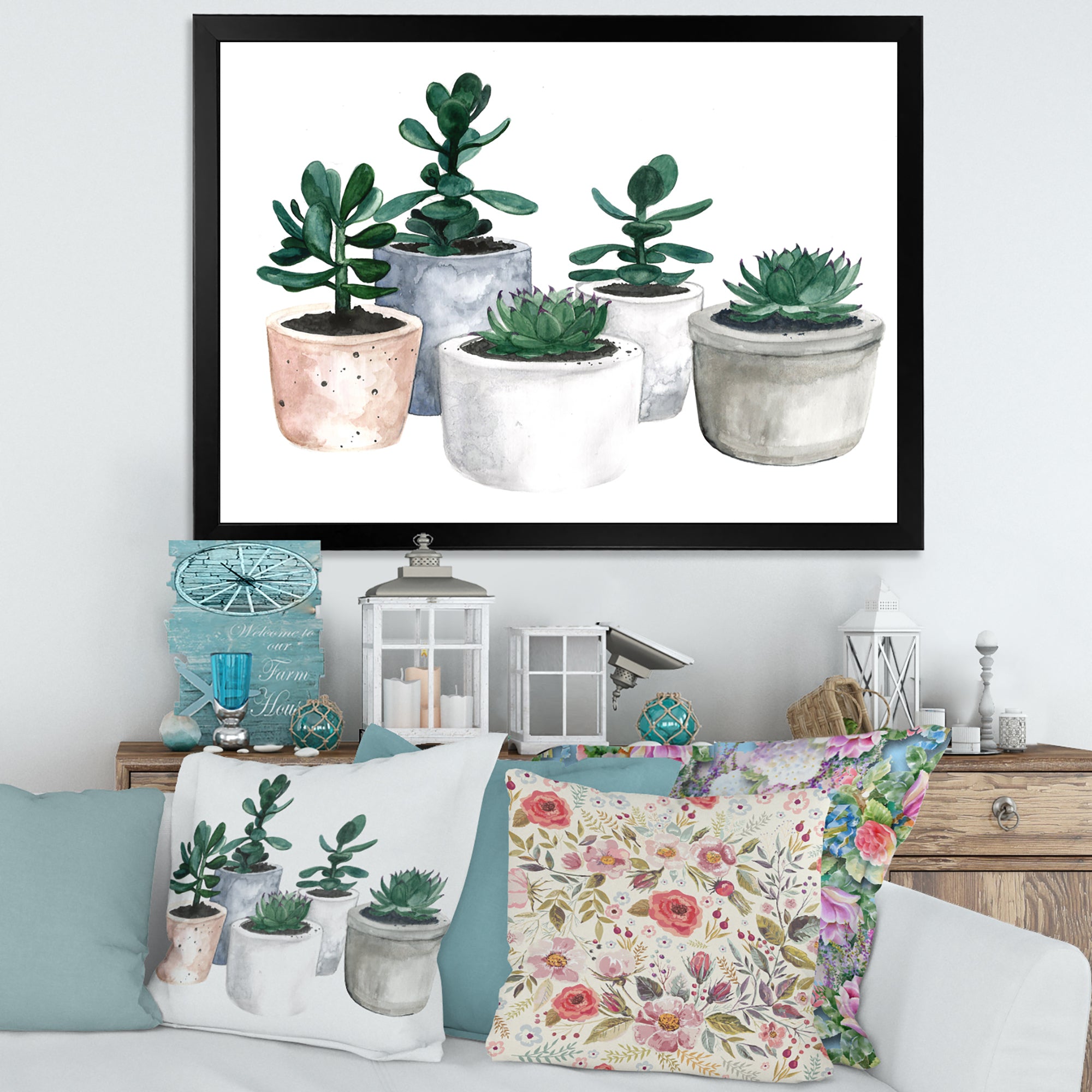 Cactus and Succulent House Plants VI