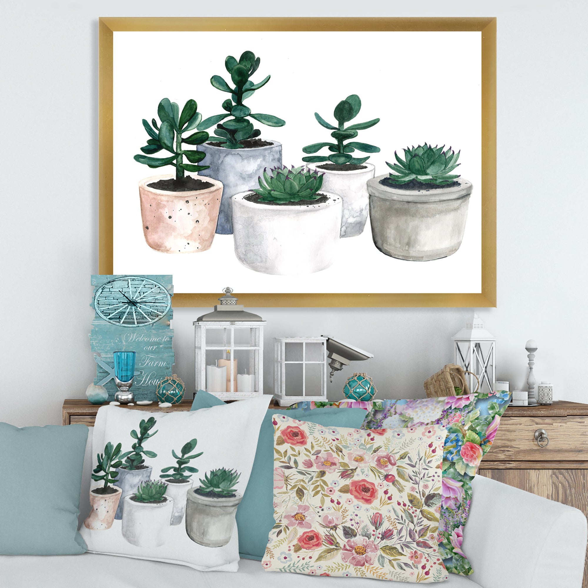 Cactus and Succulent House Plants VI