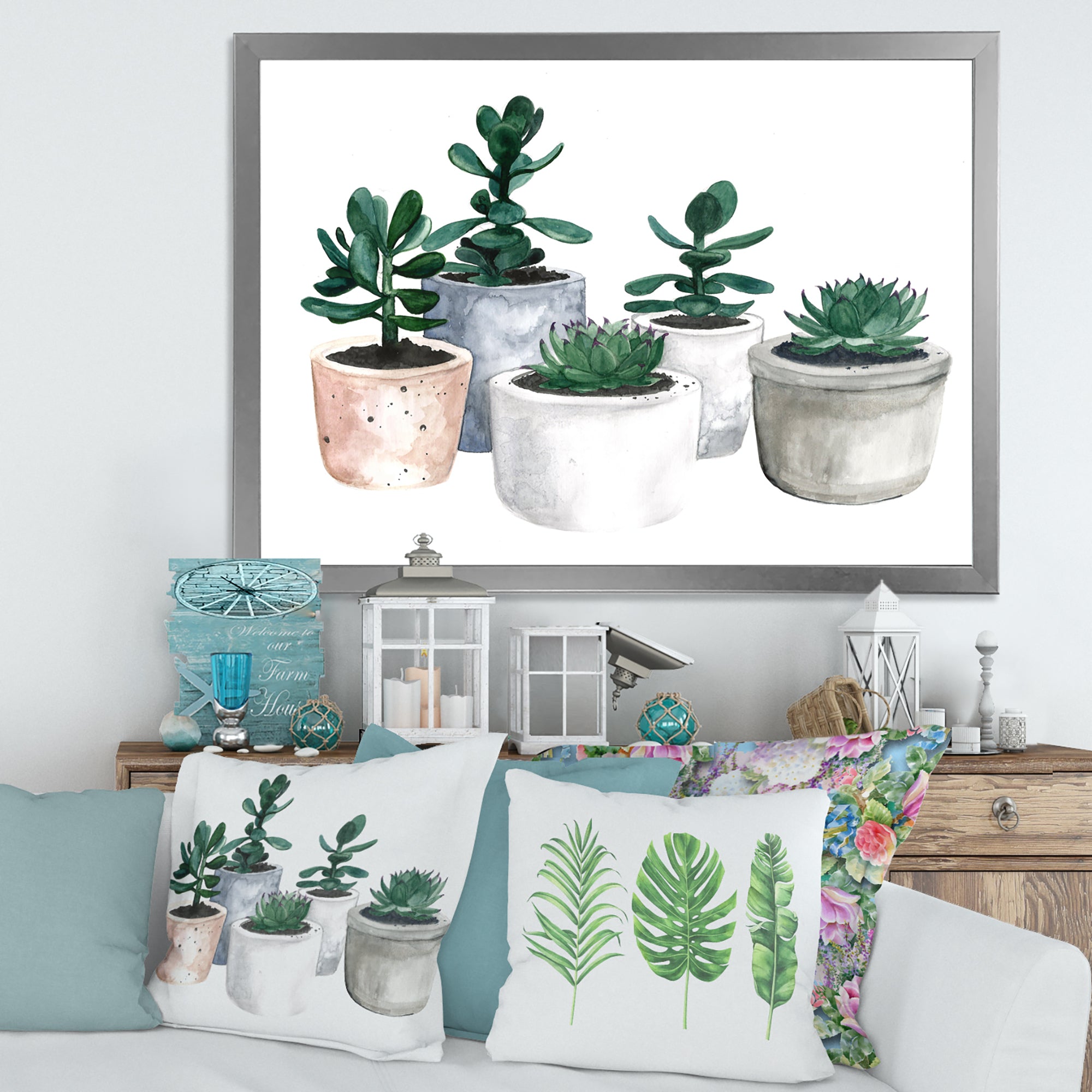 Cactus and Succulent House Plants VI