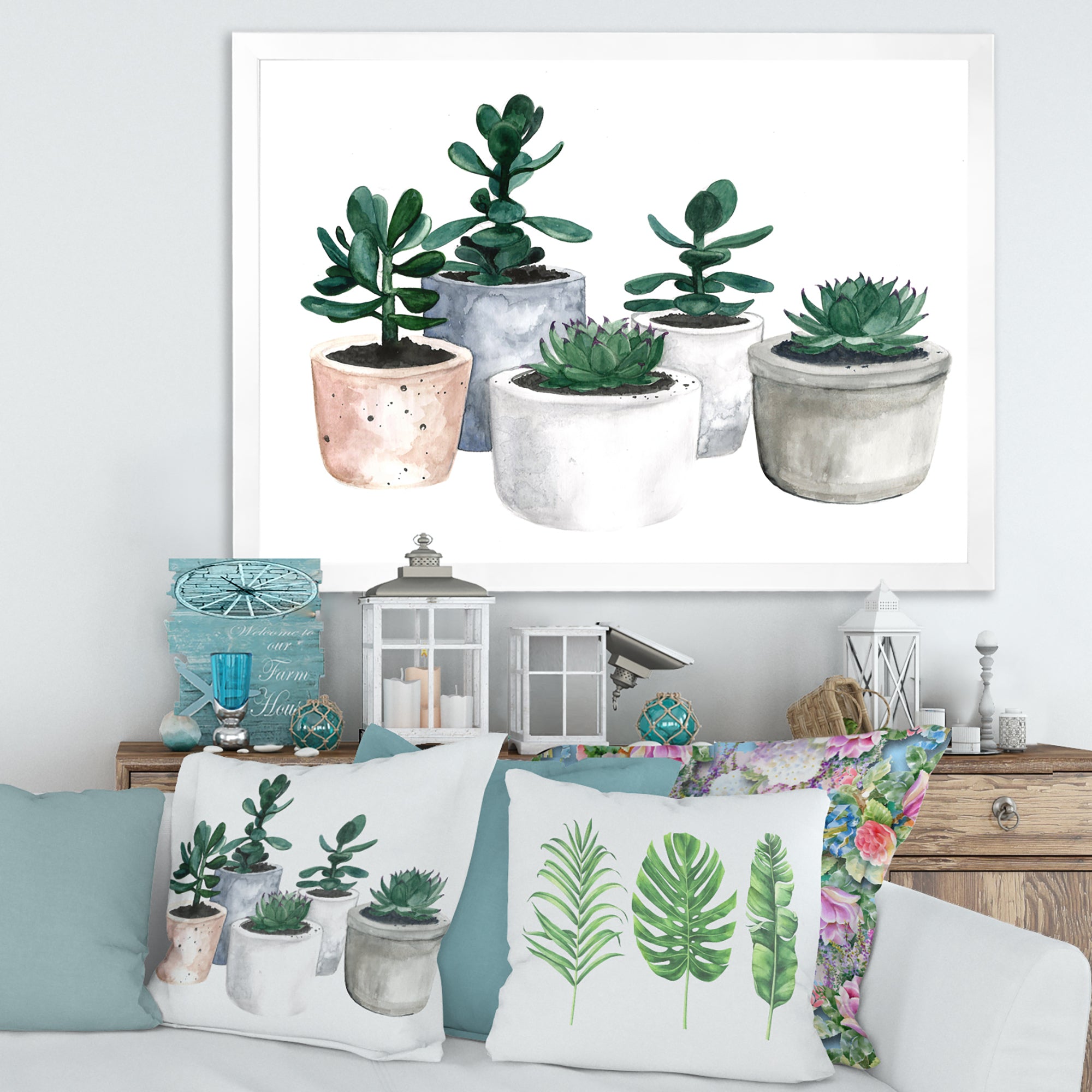 Cactus and Succulent House Plants VI