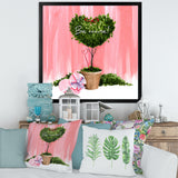 Heart Shaped Valentine House Plant
