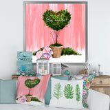 Heart Shaped Valentine House Plant
