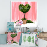 Heart Shaped Valentine House Plant