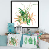 Tropical Leaves Air Plant Succulent