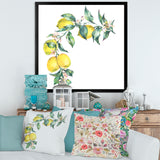 Branch of Yellow Lemons and Leaves II