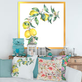 Branch of Yellow Lemons and Leaves II