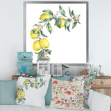 Branch of Yellow Lemons and Leaves II