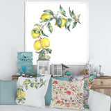 Branch of Yellow Lemons and Leaves II