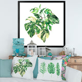 Tropical Green Leaves In Summer Times I