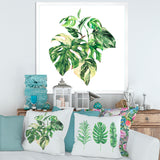 Tropical Green Leaves In Summer Times I