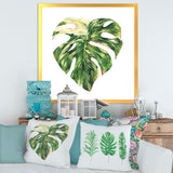 Tropical Green Leaves In Summer Times III