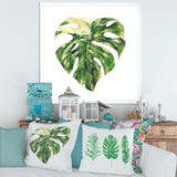 Tropical Green Leaves In Summer Times III