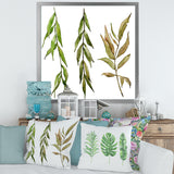 Three Willow Branches