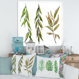 Three Willow Branches