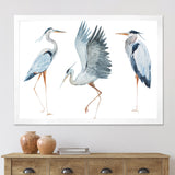 Heron Birds II