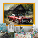 Camero In Barn IV