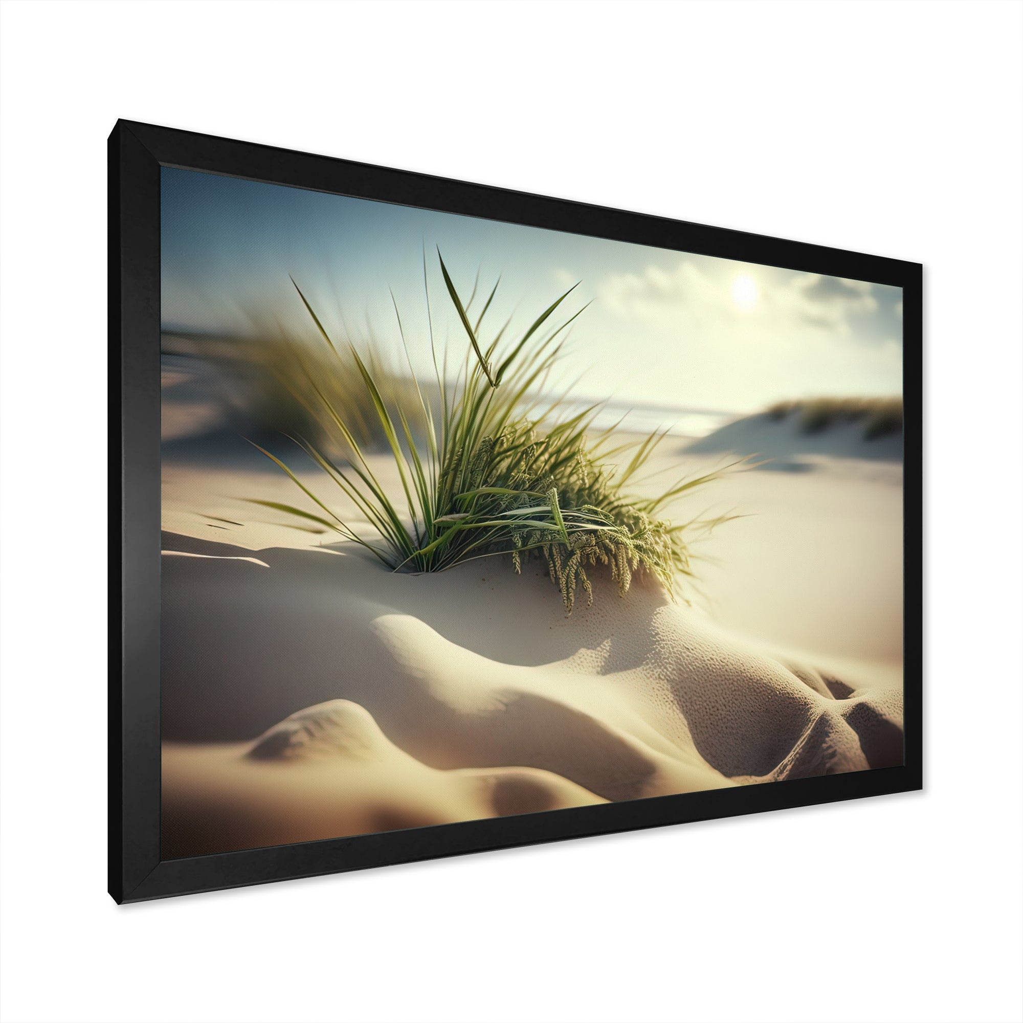 Grass On Sand Dunes I