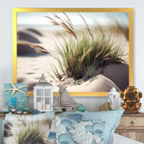 Grass On Sand Dunes II