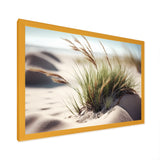 Grass On Sand Dunes II