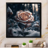 A Blooming Rose Flower In A Forest II