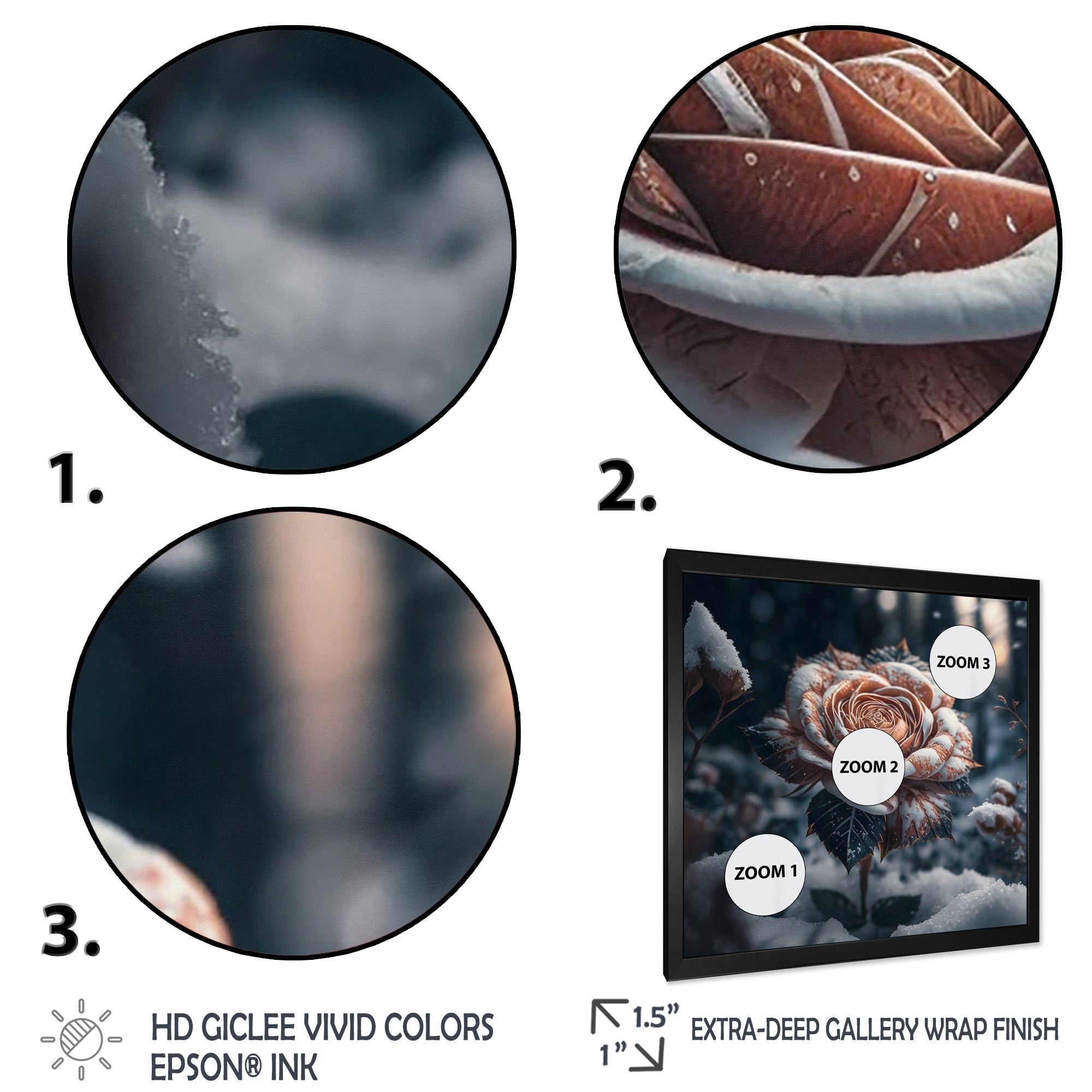 A Blooming Rose Flower In A Forest II