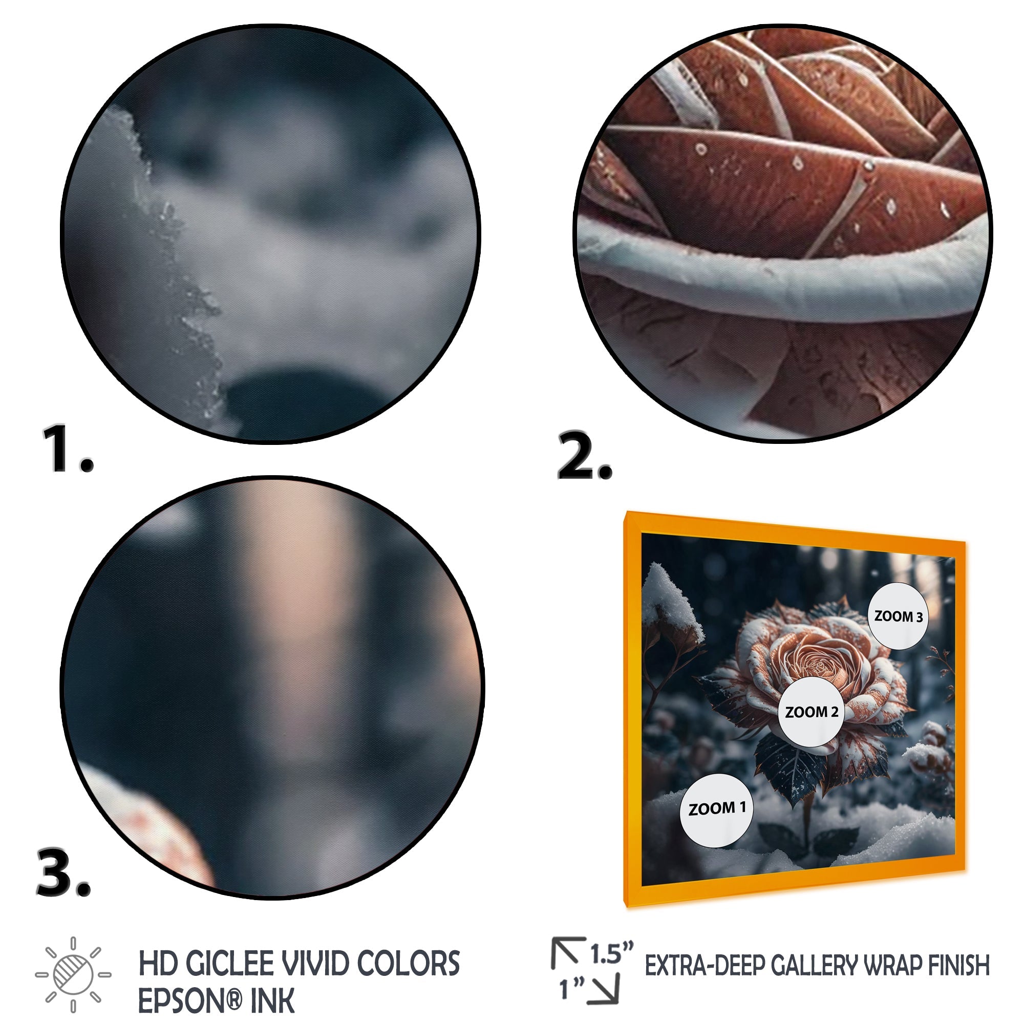 A Blooming Rose Flower In A Forest II