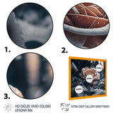 A Blooming Rose Flower In A Forest II