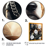 Beagle Gangster In NYC III