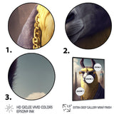 Llama Gangster In NYC