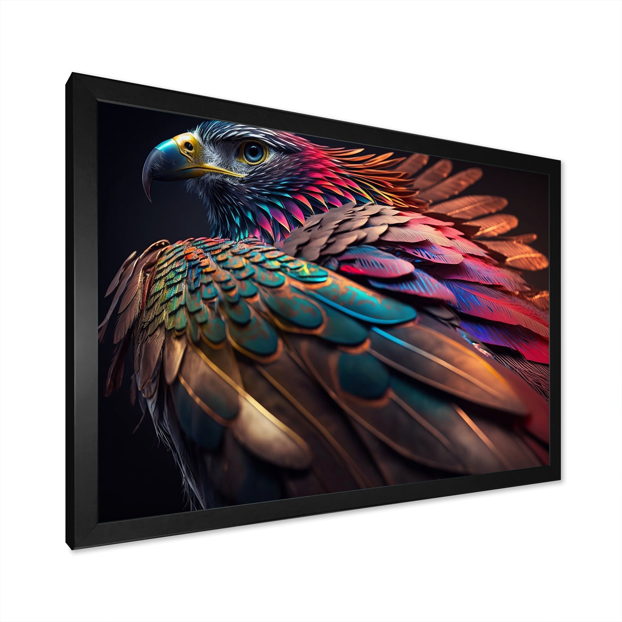 Macro Colorful Feather Eagle II