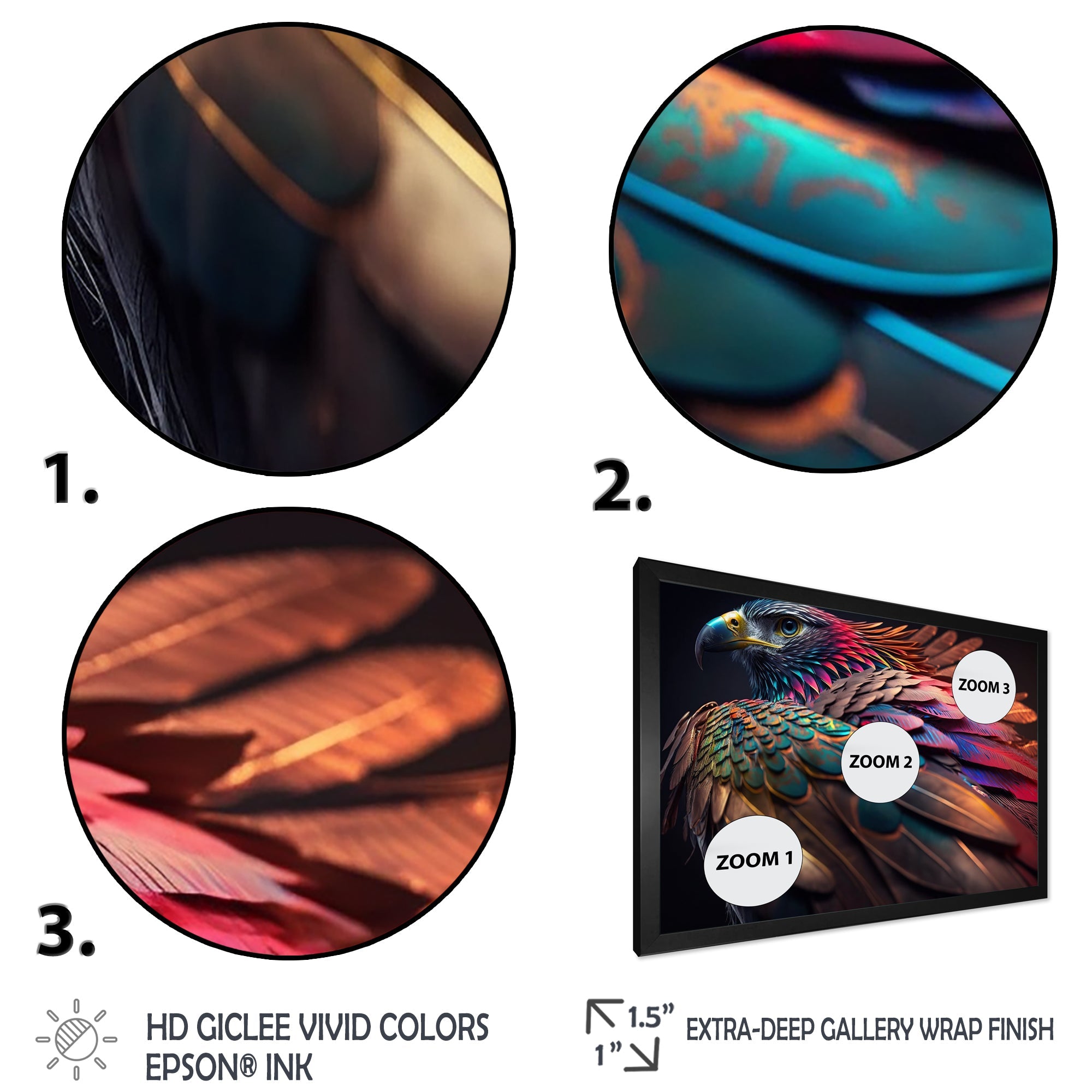 Macro Colorful Feather Eagle II